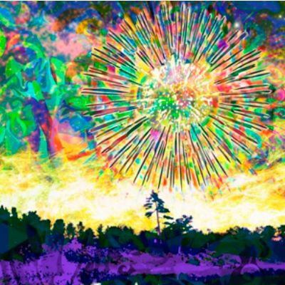 ParaCanvas障がい者アート ArtBrut 絵画