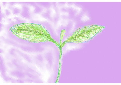 障がい者アート吉野公賀さん 絵画